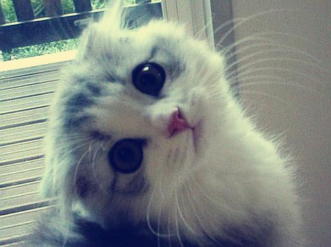 һ980!֣ݾһСթƭŻ