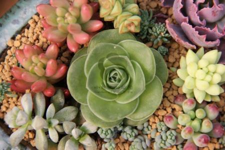 永4.2Ԫ㽭һҽթƭ